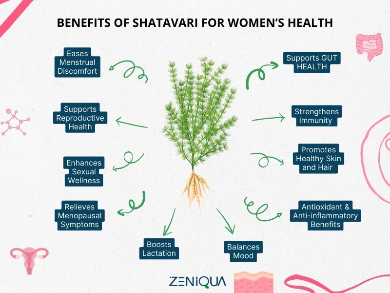 Infographic showing 10 benefits of Shatavari for women’s health